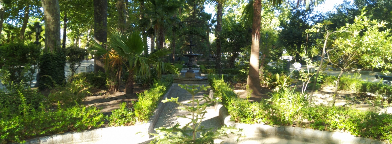 ALAMEDA DEL TAJO
